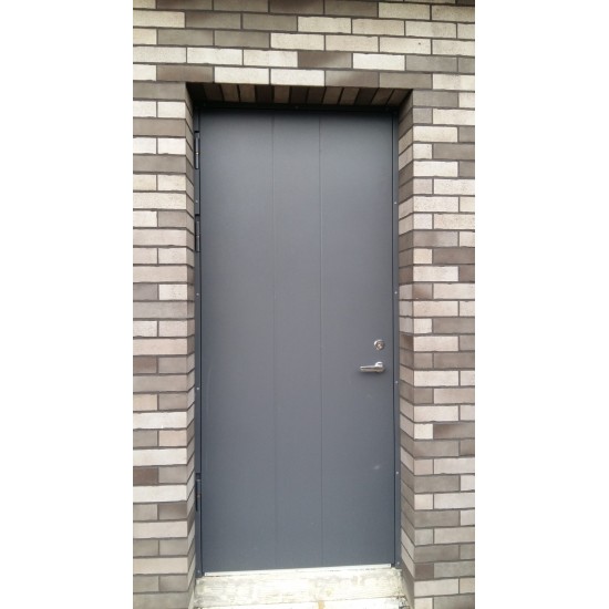 Entrance metal doors for the House BE-2