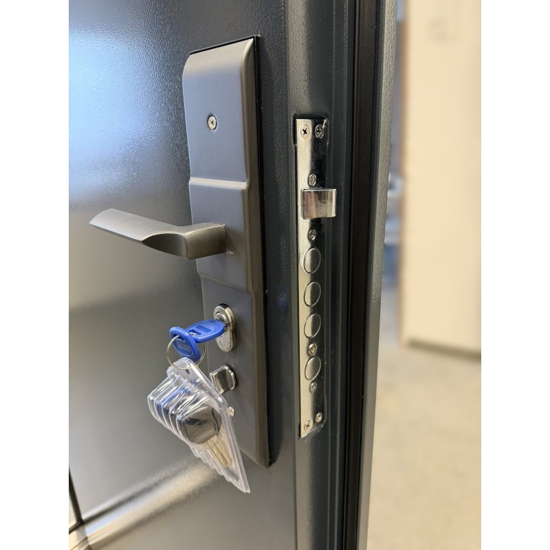 Tehniskās tērauda durvis SV1 RAL 7016