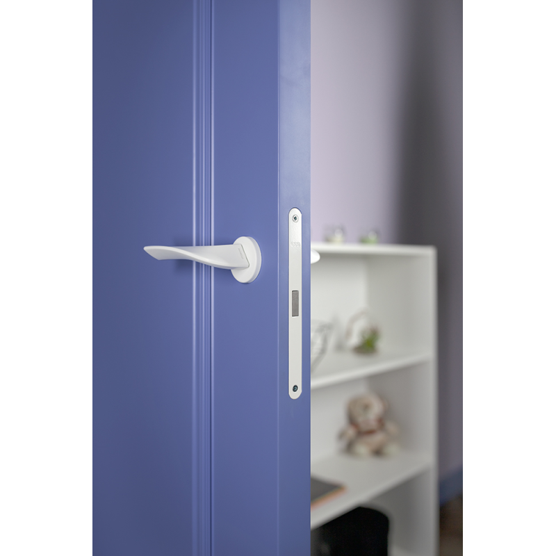 Крашеные межкомнатные двери LAMIRA 1 (Solid Core)