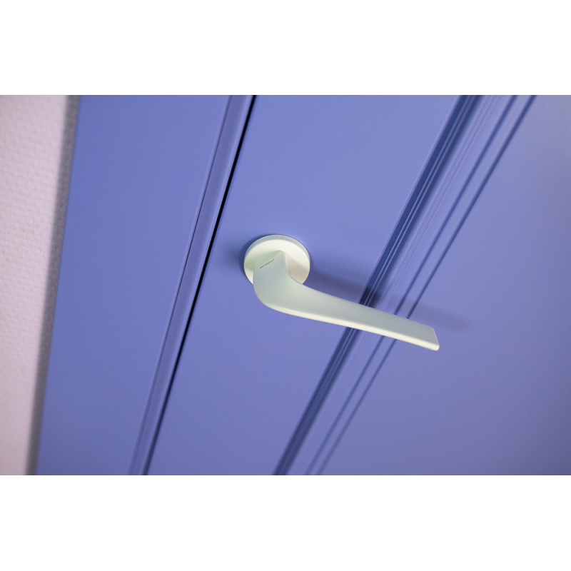 Крашеные межкомнатные двери LAMIRA 1 (Solid Core)