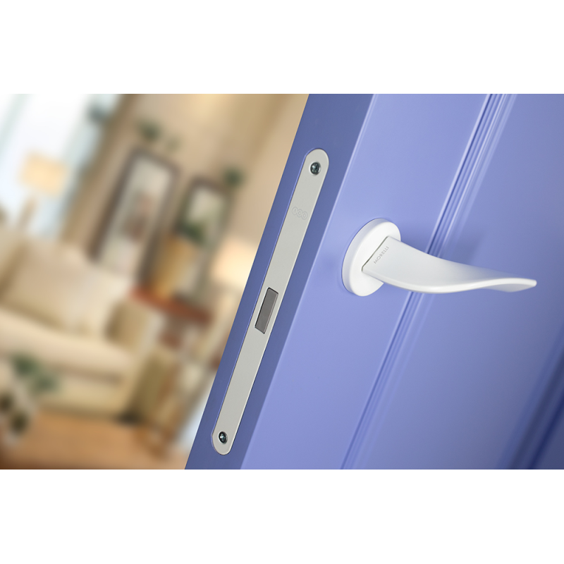 Крашеные межкомнатные двери LAMIRA 1 (Solid Core)