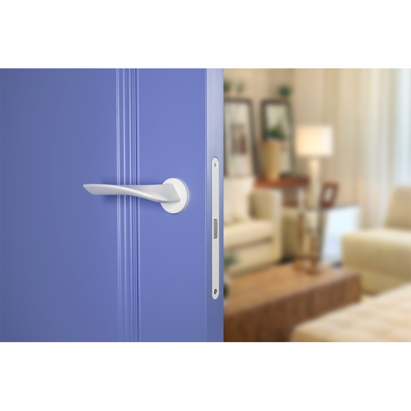 Крашеные межкомнатные двери LAMIRA 1 (Solid Core)