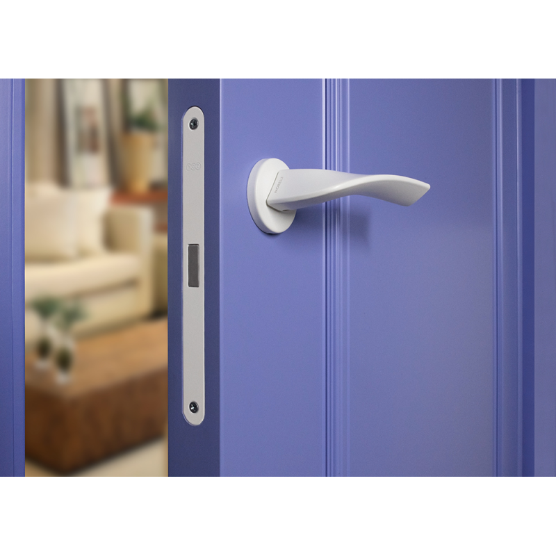 Крашеные межкомнатные двери LAMIRA 1 (Solid Core)