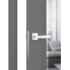 Painted Interior Doors LIBRA 1 MIRROR
