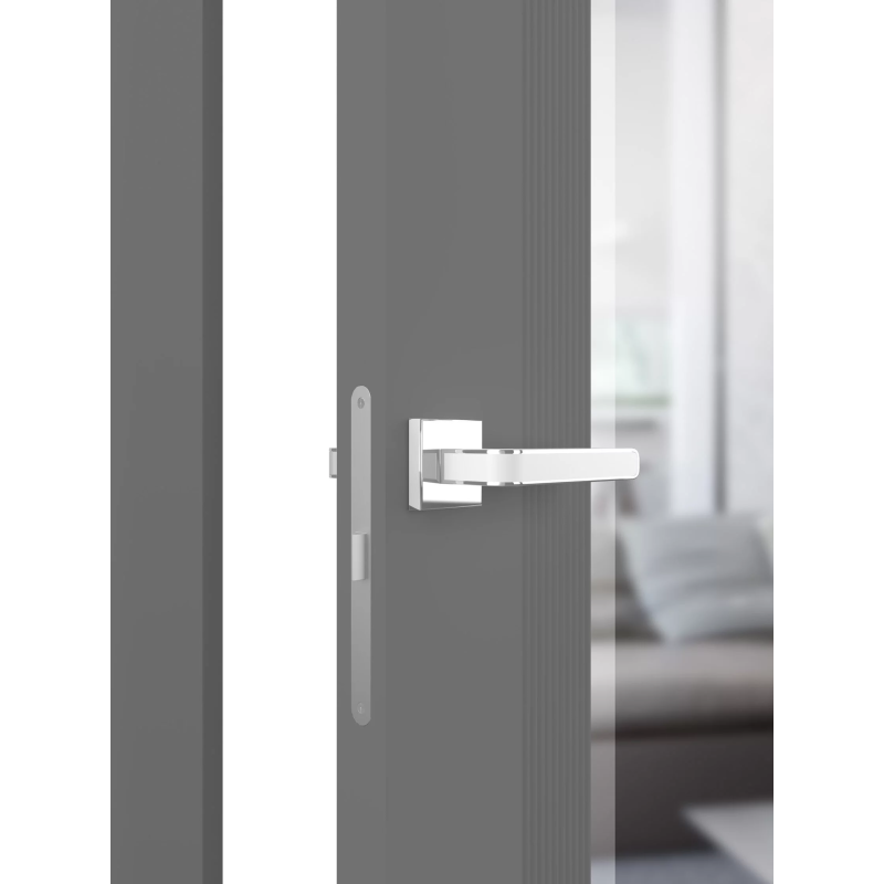 Painted Interior Doors LIBRA 1 MIRROR Painted Interior Doors LIBRA 1 MIRROR