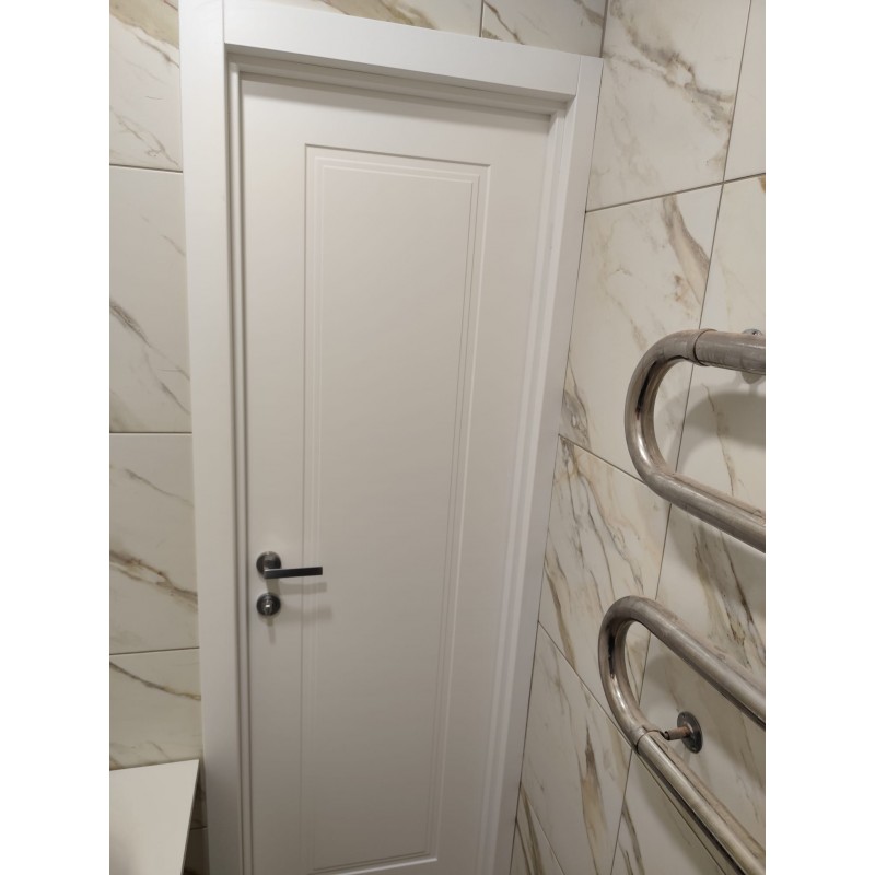 Крашеные межкомнатные двери VIRGINIA 1