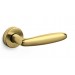 ZL SuperGold bright =143.00€