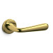 ZL SuperGold bright =124.00€