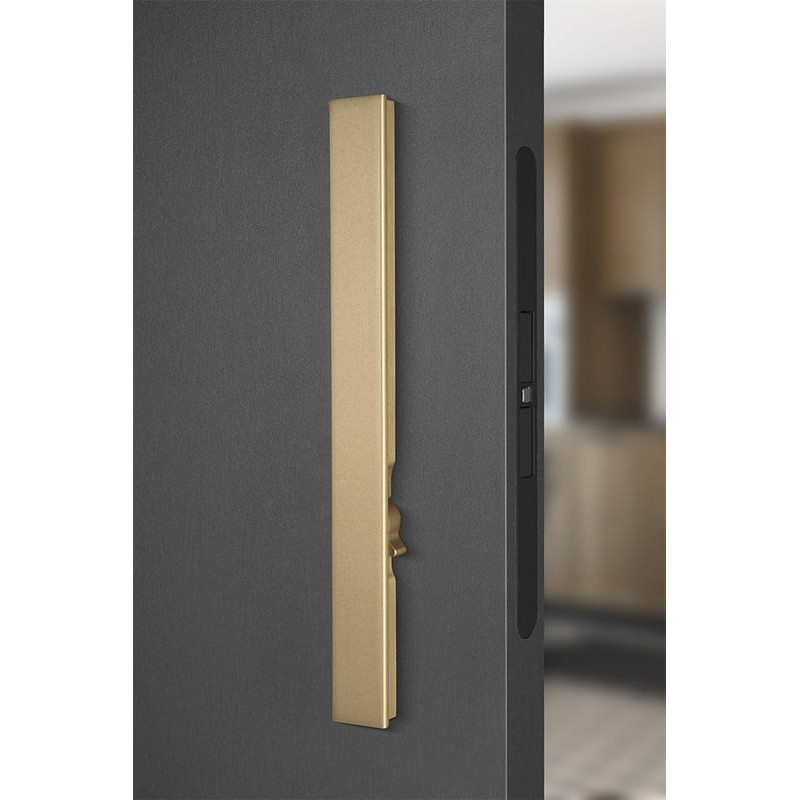 SECRET Pull Door Handle With Integrated Lock SECRET Pull Door Handle With Integrated Lock