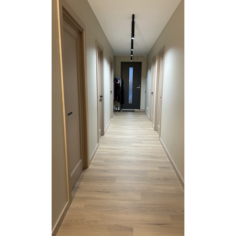 Painted Interior LIGHT CLASSIC