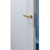 Painted Doors MONACO DSP RAL 9003