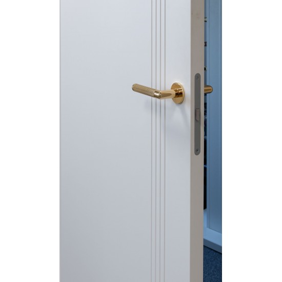 Крашеные двери MONACO RAL 9003 REVERS