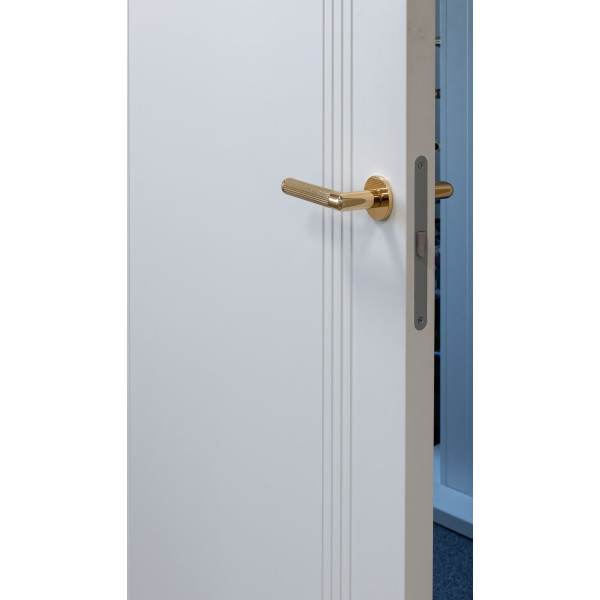 Painted Doors MONACO RAL 9003 REVERS Painted Doors MONACO RAL 9003 REVERS