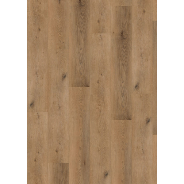 Vinyl flooring Oak L5003 Vinyl flooring Oak L5003