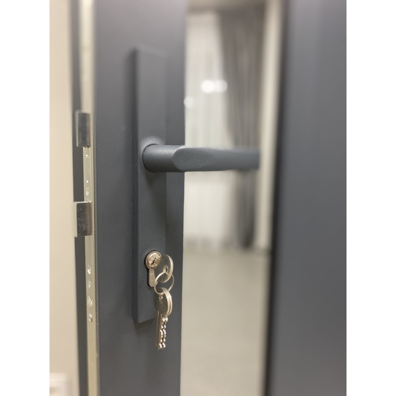 Alumīnija mājas ieejas durvis Alumīnija mājas ieejas durvis