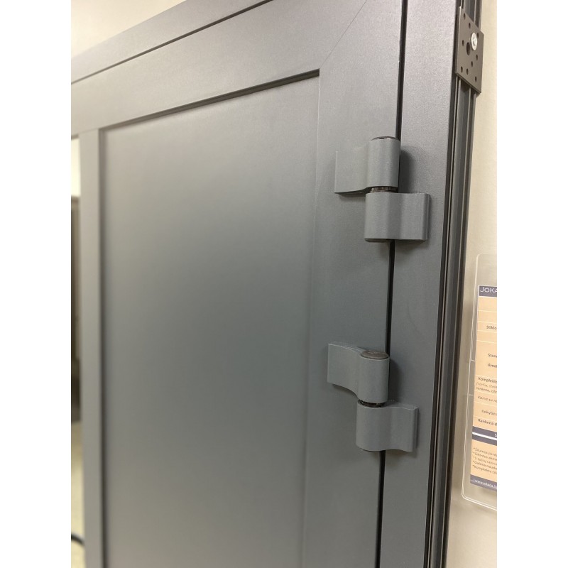 Aluminum entrance doors for houses ALU-Thermal80 with full glazing RAL7016 Aluminum entrance doors for houses ALU-Thermal80 with full glazing RAL7016