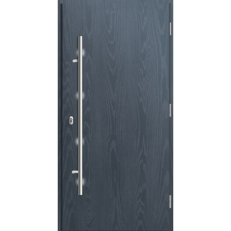 Exterior door VIKKING MODEL  01 01 0