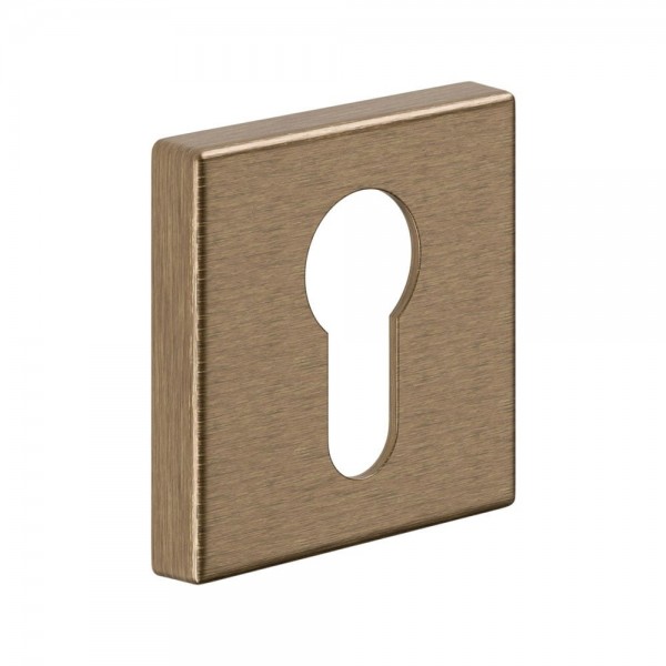 PZ rosette BD14 PZ Old Brass