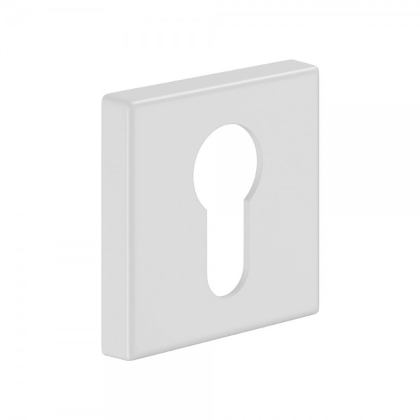 PZ rosette BD14 PZ White