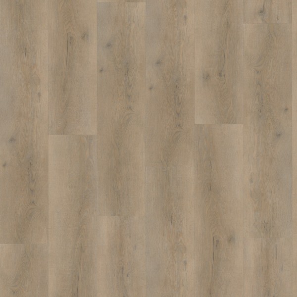Vinila grīdas VIVAFLOORS OAK L6810 Līmējams 2,5mm Vinila grīdas VIVAFLOORS OAK L6810 Līmējams 2,5mm